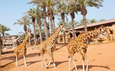 Parque zoológico de los emiratos